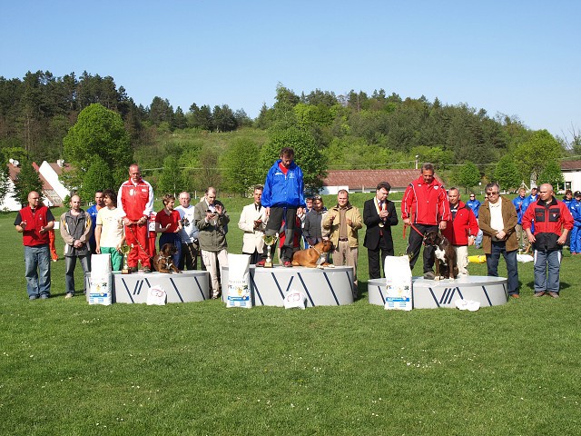www.atibox.net * www.euroboxer.eu * www.boxergenealogia.eu